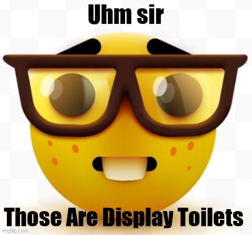 "Sir you can't do that" | Uhm sir; Those Are Display Toilets | image tagged in nerd,average reddit user,uses twitter | made w/ Imgflip meme maker