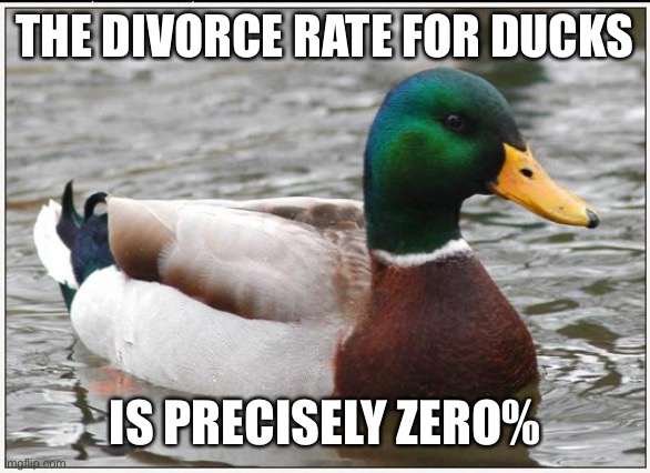 Duck Divorce | THE DIVORCE RATE FOR DUCKS; IS PRECISELY ZERO% | image tagged in memes,actual advice mallard | made w/ Imgflip meme maker