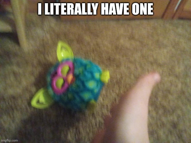 I LITERALLY HAVE ONE | made w/ Imgflip meme maker