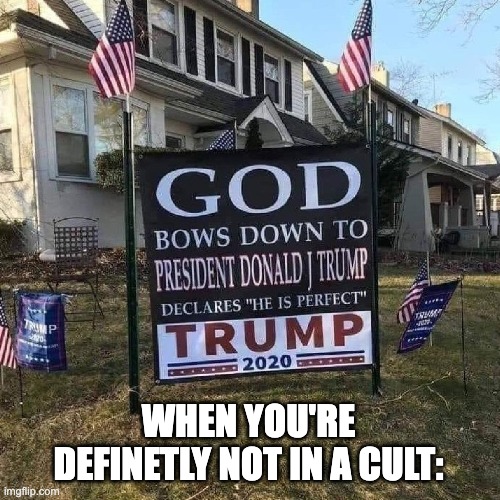 TDS is real, just in the opposite direction. | WHEN YOU'RE DEFINETLY NOT IN A CULT: | image tagged in donald trump,fascism,religion,cult,trump derangement syndrome | made w/ Imgflip meme maker