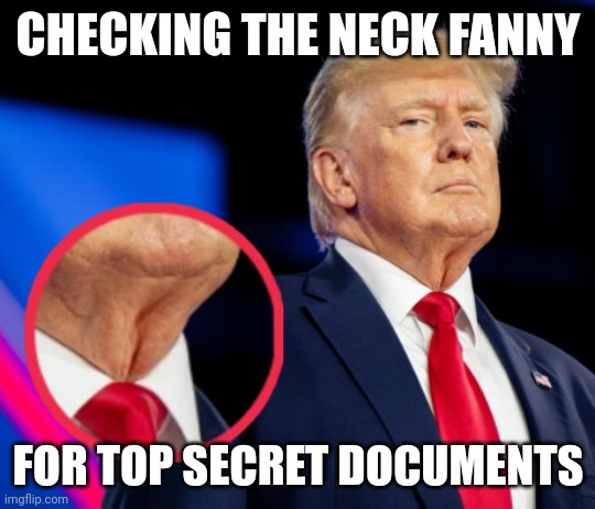 Neck Fanny | CHECKING THE NECK FANNY; FOR TOP SECRET DOCUMENTS | image tagged in trump chin | made w/ Imgflip meme maker