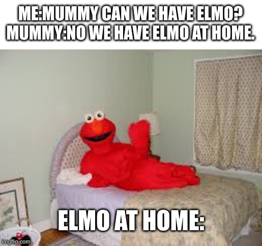 ELMO WASSS HIIIISSSS NAAAAAMMMMMOOOOOO | ME:MUMMY CAN WE HAVE ELMO?
MUMMY:NO WE HAVE ELMO AT HOME. ELMO AT HOME: | image tagged in elmo,elmo nuclear explosion,tickle me elmo,elmo cocaine,memes,cursed image | made w/ Imgflip meme maker