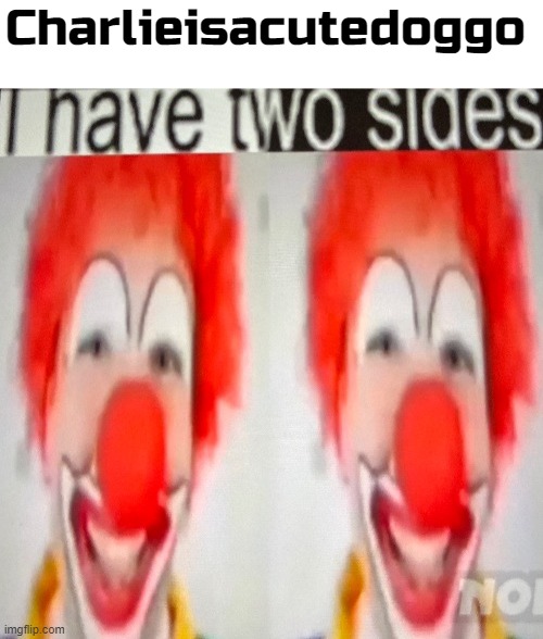 Charlieisacutedoggo | image tagged in blank white template | made w/ Imgflip meme maker