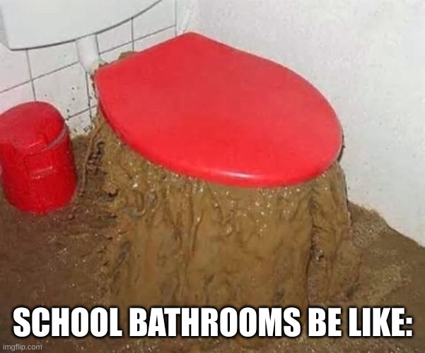 School Bathrooms | SCHOOL BATHROOMS BE LIKE: | image tagged in middle school,school,bathroom | made w/ Imgflip meme maker