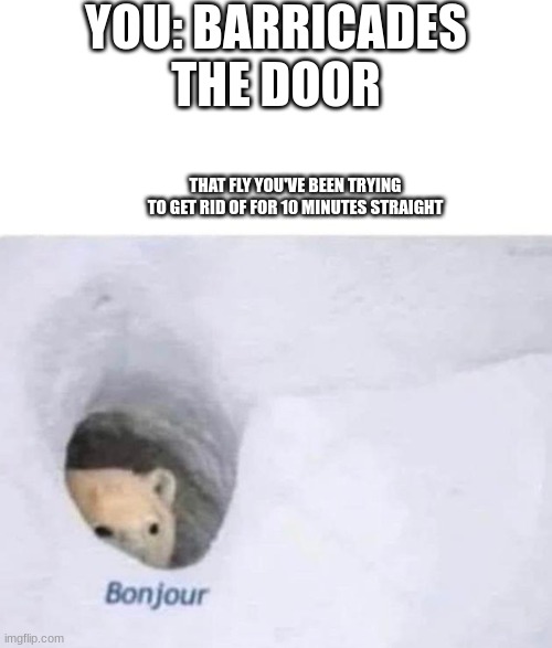 it ain't going to work man | YOU: BARRICADES THE DOOR; THAT FLY YOU'VE BEEN TRYING TO GET RID OF FOR 10 MINUTES STRAIGHT | image tagged in bonjour,relatable | made w/ Imgflip meme maker