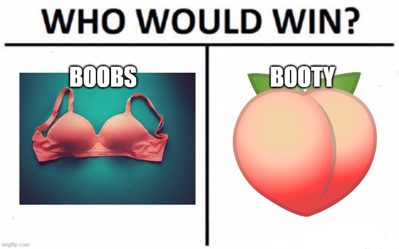 Boobs vs Booty - Imgflip