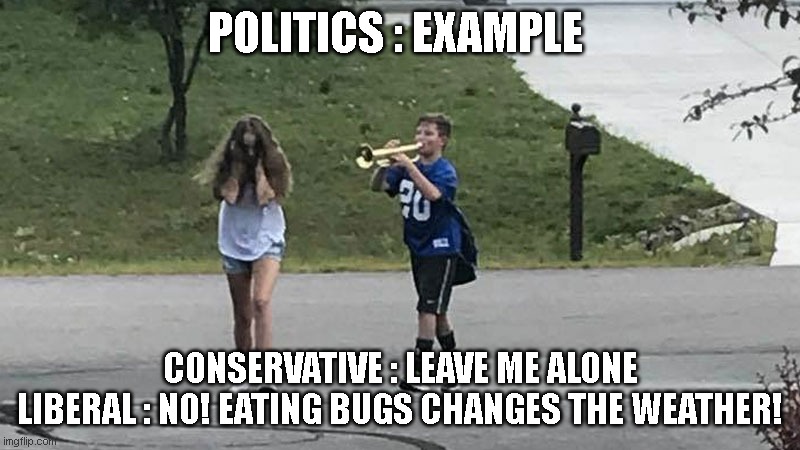 Trumpet Boy Object Labeling | POLITICS : EXAMPLE; CONSERVATIVE : LEAVE ME ALONE
LIBERAL : NO! EATING BUGS CHANGES THE WEATHER! | image tagged in trumpet boy object labeling | made w/ Imgflip meme maker