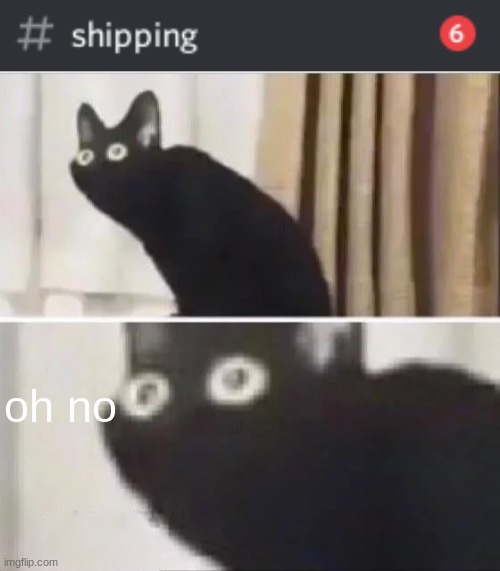 oh no | image tagged in oh no black cat | made w/ Imgflip meme maker