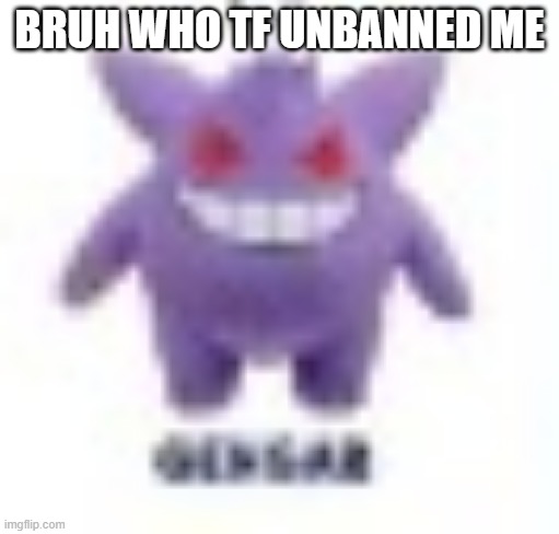 i have no self control | BRUH WHO TF UNBANNED ME | image tagged in low quality gengar | made w/ Imgflip meme maker