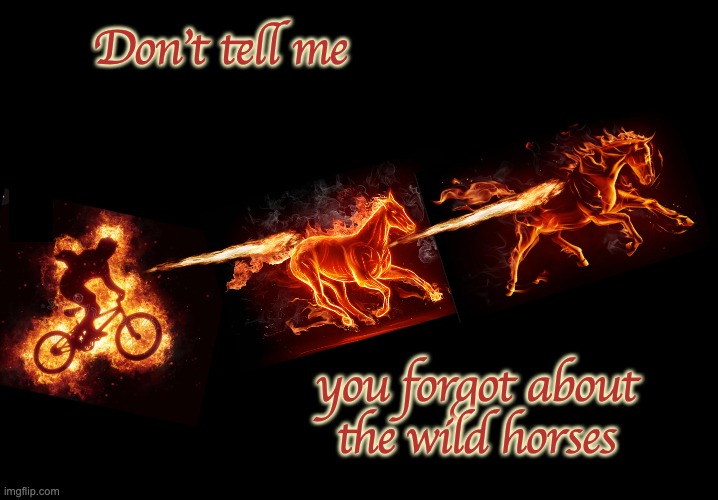Don't tell me you forgot about
the wild horses | image tagged in blank black template | made w/ Imgflip meme maker