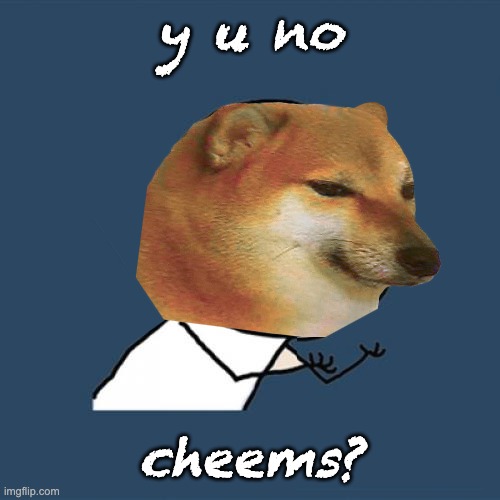 only question today | y u no; cheems? | image tagged in cheems,advertisement,memes,y u no | made w/ Imgflip meme maker