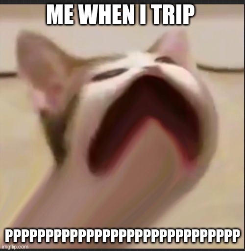 Trip Flip | ME WHEN I TRIP; PPPPPPPPPPPPPPPPPPPPPPPPPPPPP | image tagged in 2022 | made w/ Imgflip meme maker