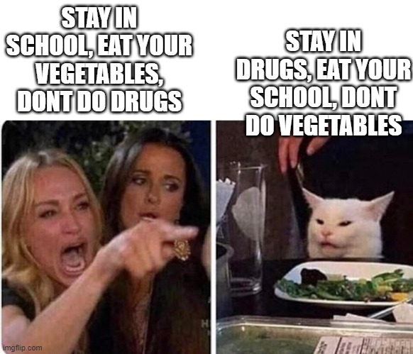 Lady screams at cat | STAY IN SCHOOL, EAT YOUR VEGETABLES, DONT DO DRUGS STAY IN DRUGS, EAT YOUR SCHOOL, DONT DO VEGETABLES | image tagged in lady screams at cat | made w/ Imgflip meme maker