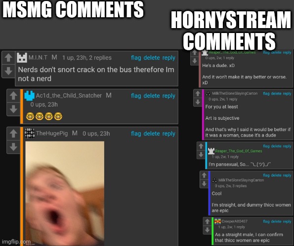MSMG COMMENTS; HORNYSTREAM COMMENTS | made w/ Imgflip meme maker
