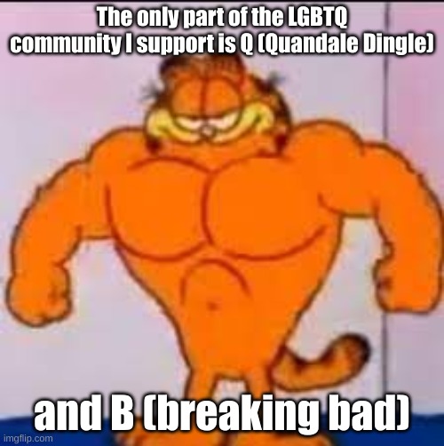 Buff garfield | The only part of the LGBTQ community I support is Q (Quandale Dingle); and B (breaking bad) | image tagged in buff garfield | made w/ Imgflip meme maker
