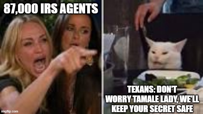 Tamales | 87,000 IRS AGENTS; TEXANS: DON'T WORRY TAMALE LADY, WE'LL KEEP YOUR SECRET SAFE | image tagged in irs,funny memes | made w/ Imgflip meme maker