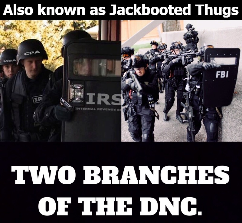 Introducing the Jackboot Branches of the DNC | Also known as Jackbooted Thugs | image tagged in jackbooted thugs,thuglife,gestapo,kgb,thug life,dnc | made w/ Imgflip meme maker