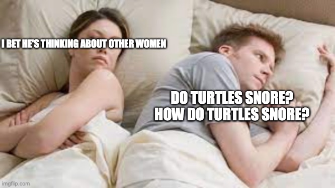 lol | I BET HE'S THINKING ABOUT OTHER WOMEN; DO TURTLES SNORE? HOW DO TURTLES SNORE? | image tagged in i bet he's thinking about other women,i bet he's thinking of other woman,turtles | made w/ Imgflip meme maker