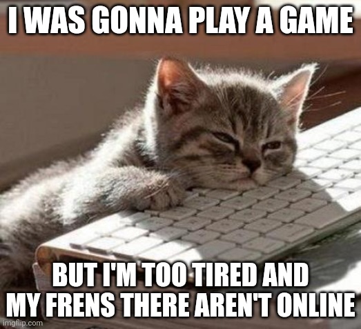 Gn chat | I WAS GONNA PLAY A GAME; BUT I'M TOO TIRED AND MY FRENS THERE AREN'T ONLINE | image tagged in tired cat | made w/ Imgflip meme maker