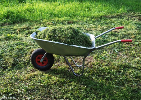 Vegan, Lawn Clippings, | image tagged in vegan lawn clippings | made w/ Imgflip meme maker