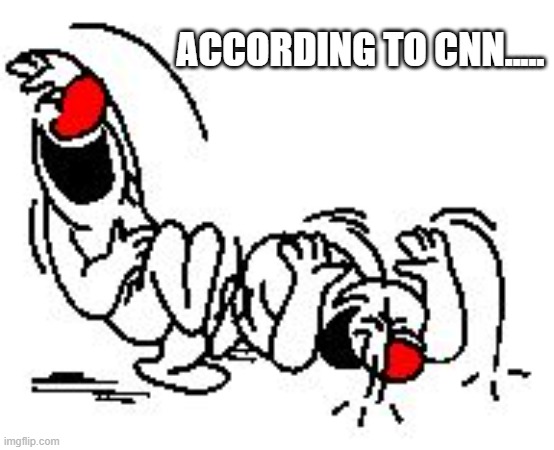LOL Hysterically | ACCORDING TO CNN..... | image tagged in lol hysterically | made w/ Imgflip meme maker