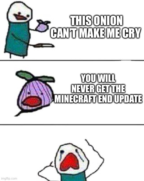 noooo |  THIS ONION CAN’T MAKE ME CRY; YOU WILL NEVER GET THE MINECRAFT END UPDATE | image tagged in this onion won't make me cry,minecraft,gaming,minecraft memes | made w/ Imgflip meme maker