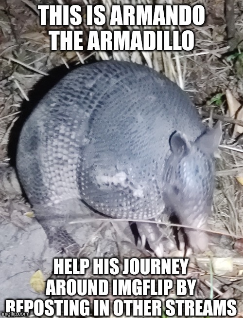 Armando would like 2 join da tem cult (Mod Note: Yes he can join) | made w/ Imgflip meme maker