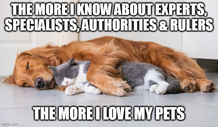 The more I love my pets | THE MORE I KNOW ABOUT EXPERTS, SPECIALISTS, AUTHORITIES & RULERS; THE MORE I LOVE MY PETS | image tagged in cats and dogs | made w/ Imgflip meme maker