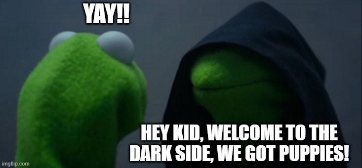 Evil Kermit | YAY!! HEY KID, WELCOME TO THE DARK SIDE, WE GOT PUPPIES! | image tagged in evil kermit,memes,puppies | made w/ Imgflip meme maker