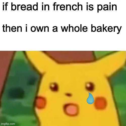 "tear dropping sound" | if bread in french is pain; then i own a whole bakery | image tagged in memes,surprised pikachu | made w/ Imgflip meme maker