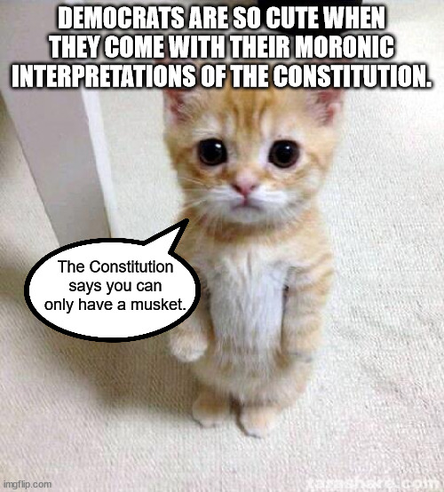 Cute Cat Meme | DEMOCRATS ARE SO CUTE WHEN THEY COME WITH THEIR MORONIC INTERPRETATIONS OF THE CONSTITUTION. The Constitution says you can only have a muske | image tagged in memes,cute cat | made w/ Imgflip meme maker