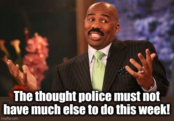 Steve Harvey Meme | The thought police must not have much else to do this week! | image tagged in memes,steve harvey | made w/ Imgflip meme maker