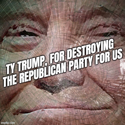 TY double agent | TY TRUMP, FOR DESTROYING THE REPUBLICAN PARTY FOR US | image tagged in trump lies,double,agent | made w/ Imgflip meme maker