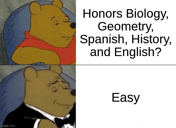 Tuxedo Winnie The Pooh Meme | Honors Biology, Geometry, Spanish, History, and English? Easy | image tagged in memes,tuxedo winnie the pooh | made w/ Imgflip meme maker