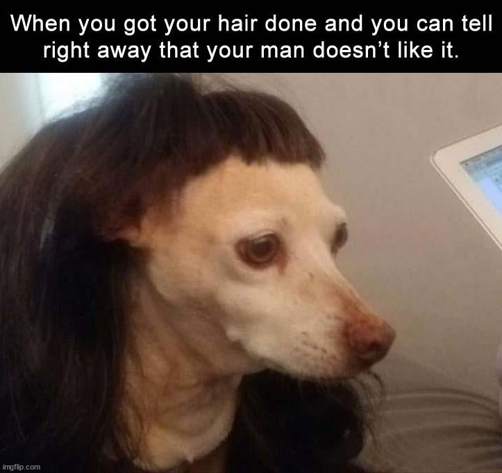 image tagged in hairstyle,i hate it when | made w/ Imgflip meme maker