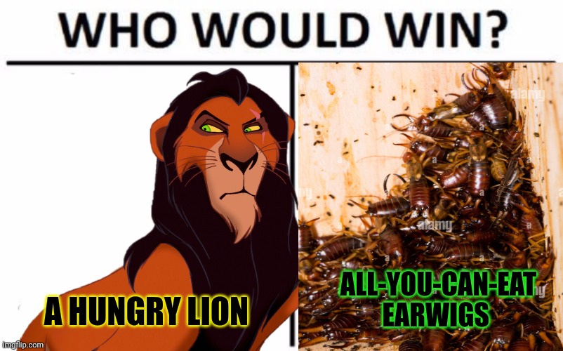 Why is Scar obsessed with earwigs? | ALL-YOU-CAN-EAT EARWIGS; A HUNGRY LION | image tagged in lions,like,to eat lots of,earwigs,true story,google it | made w/ Imgflip meme maker