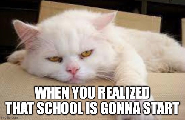 I dont have a clever title for this | WHEN YOU REALIZED THAT SCHOOL IS GONNA START | image tagged in back to school,grumpy cat,funny memes,memes | made w/ Imgflip meme maker