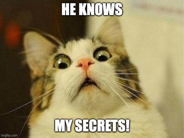 Scared Cat Meme | HE KNOWS MY SECRETS! | image tagged in memes,scared cat | made w/ Imgflip meme maker
