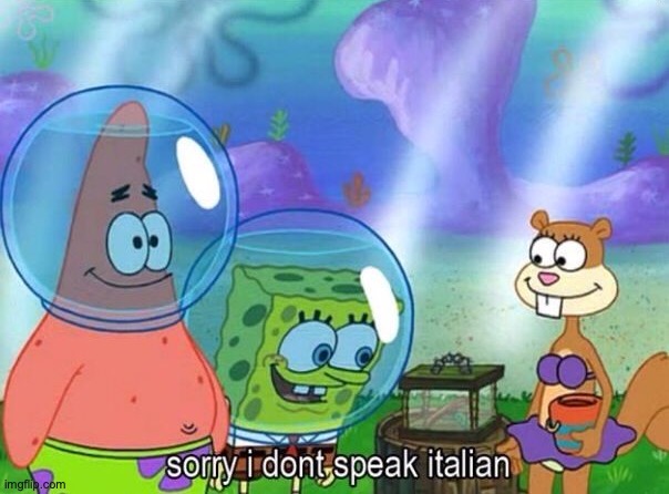 Sorry I don't speak italian | image tagged in sorry i don't speak italian | made w/ Imgflip meme maker