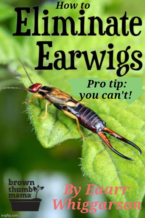 Captain Scar's new favorite book | How to; Pro tip: you can't! By Eaarr Whiggarson | image tagged in earwigs,tasty lil bugs,but why why would you do that | made w/ Imgflip meme maker