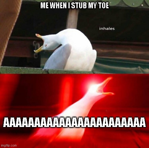 AAAAAAAAAAAAAAAAAAAAAAAAAAAAAAAAAAAAAAAAAAAAAAAAAAAAAAAAAAAAAAA | ME WHEN I STUB MY TOE; AAAAAAAAAAAAAAAAAAAAAAA | image tagged in inhaling seagull | made w/ Imgflip meme maker
