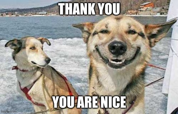 Original Stoner Dog Meme | THANK YOU YOU ARE NICE | image tagged in memes,original stoner dog | made w/ Imgflip meme maker