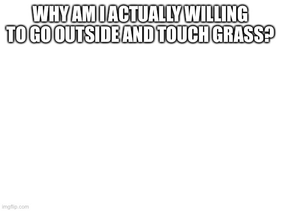 Blank White Template | WHY AM I ACTUALLY WILLING TO GO OUTSIDE AND TOUCH GRASS? | image tagged in blank white template | made w/ Imgflip meme maker