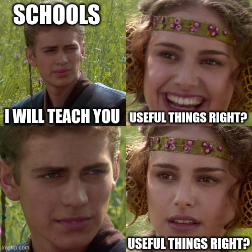 schools | SCHOOLS; I WILL TEACH YOU; USEFUL THINGS RIGHT? USEFUL THINGS RIGHT? | image tagged in anakin padme 4 panel | made w/ Imgflip meme maker