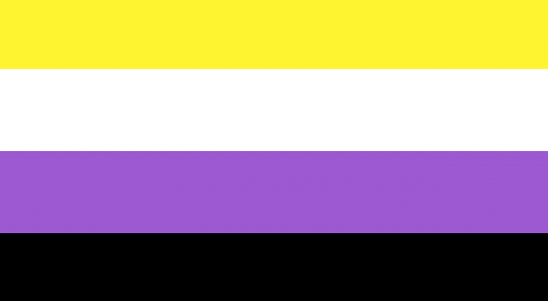 Non-Binary flag Blank Meme Template