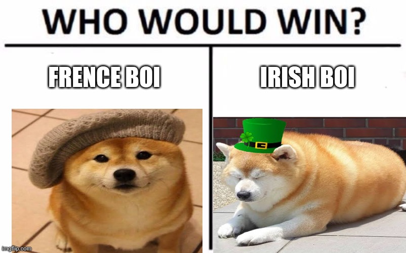 diggo | FRENCE BOI; IRISH BOI | image tagged in memes,who would win | made w/ Imgflip meme maker
