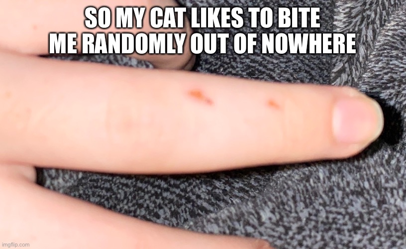 SO MY CAT LIKES TO BITE ME RANDOMLY OUT OF NOWHERE | made w/ Imgflip meme maker