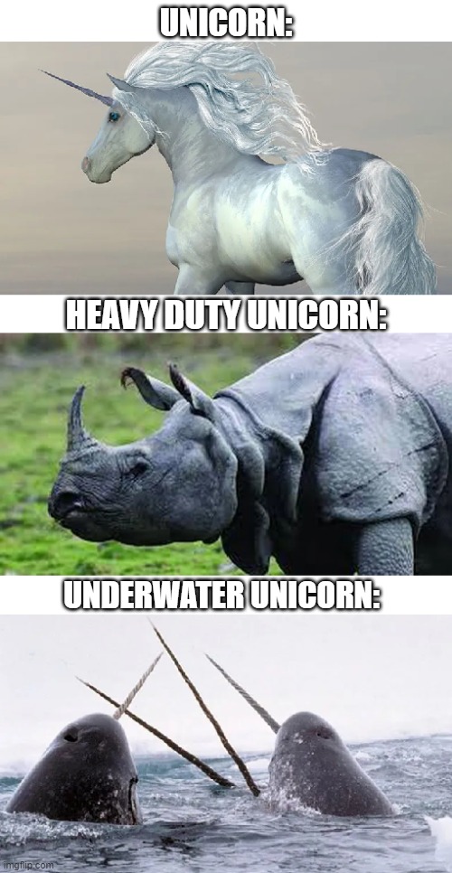 UNICORN:; HEAVY DUTY UNICORN:; UNDERWATER UNICORN: | image tagged in unicorn | made w/ Imgflip meme maker