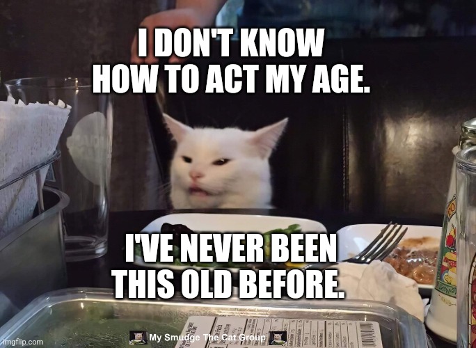 I DON'T KNOW HOW TO ACT MY AGE. I'VE NEVER BEEN THIS OLD BEFORE. | image tagged in smudge the cat | made w/ Imgflip meme maker