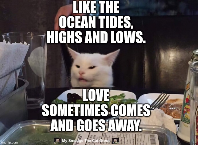 LIKE THE OCEAN TIDES, HIGHS AND LOWS. LOVE SOMETIMES COMES AND GOES AWAY. | image tagged in smudge the cat | made w/ Imgflip meme maker